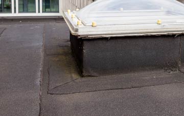 disadvantages of Neatishead flat roofs