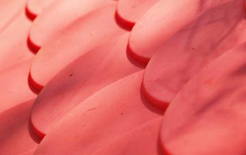 Neatishead plastic roof costs