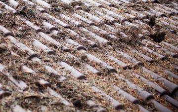 Neatishead roof cleaning companies